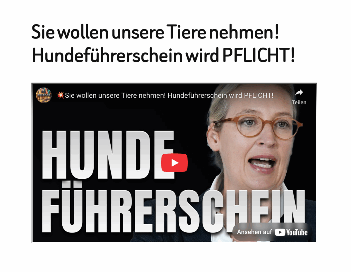 Sie wollen unsere Tiere nehmen! Hundeführerschein wird PFLICHT!