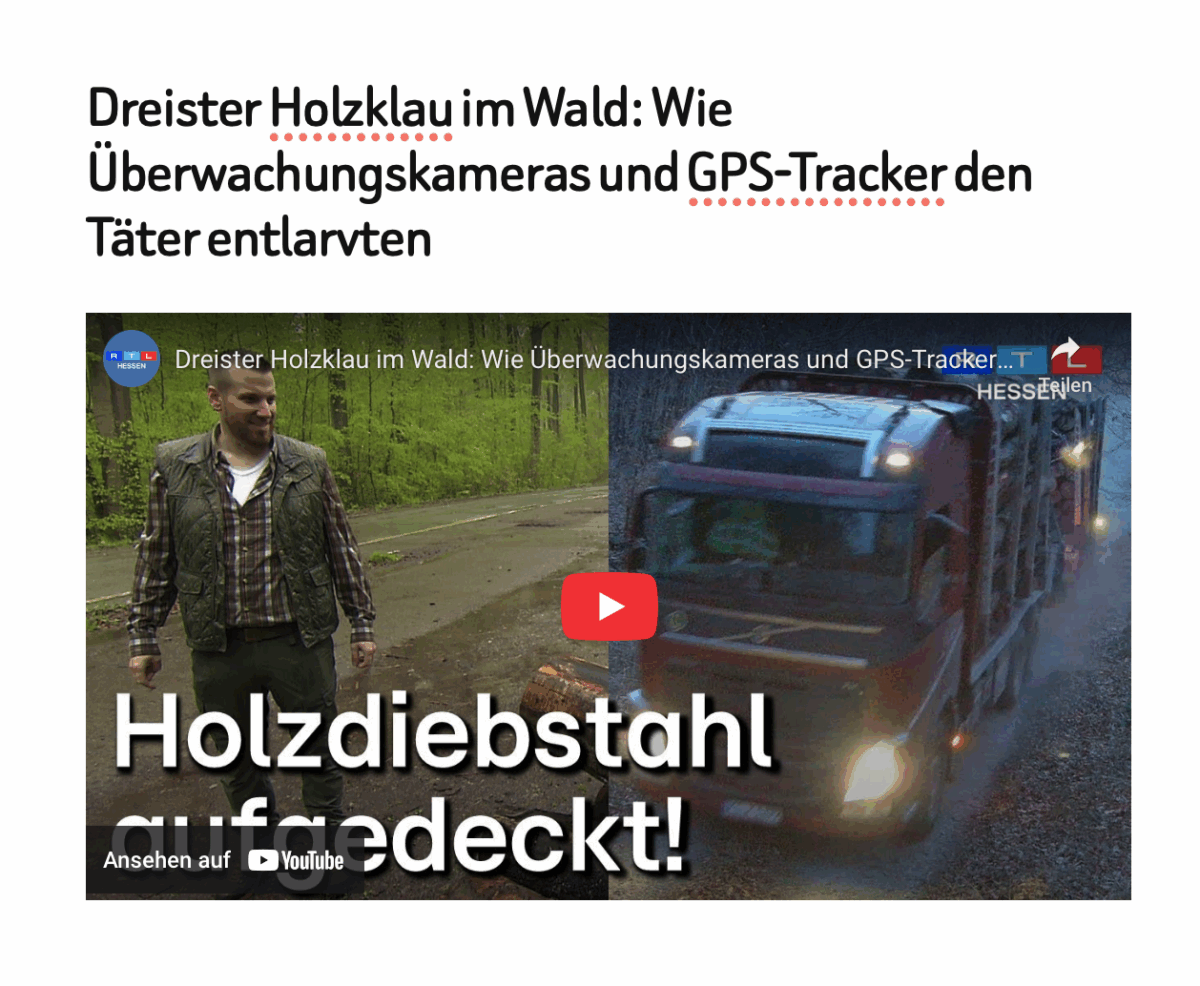 Dreister Holzklau im Wald: Wie Überwachungskameras und GPS-Tracker den Täter entlarvten