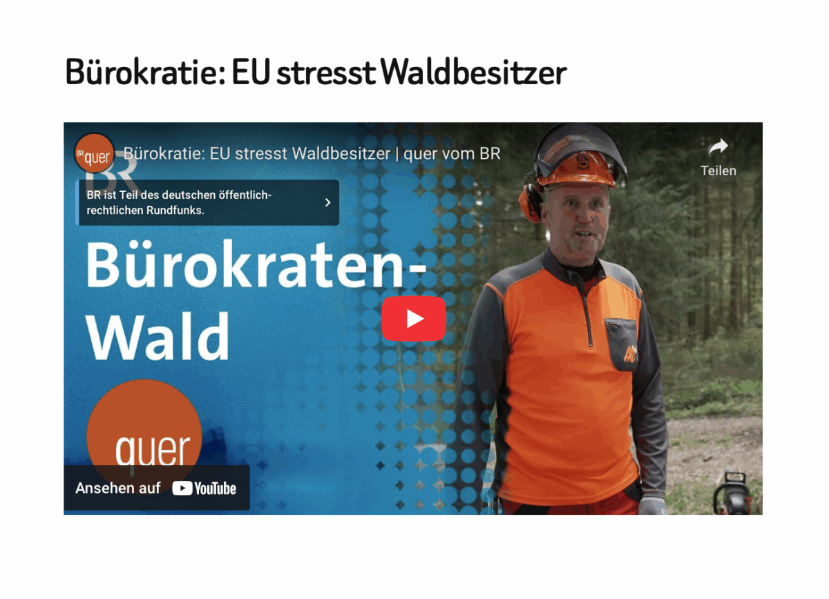 Bürokratie: EU stresst Waldbesitzer 