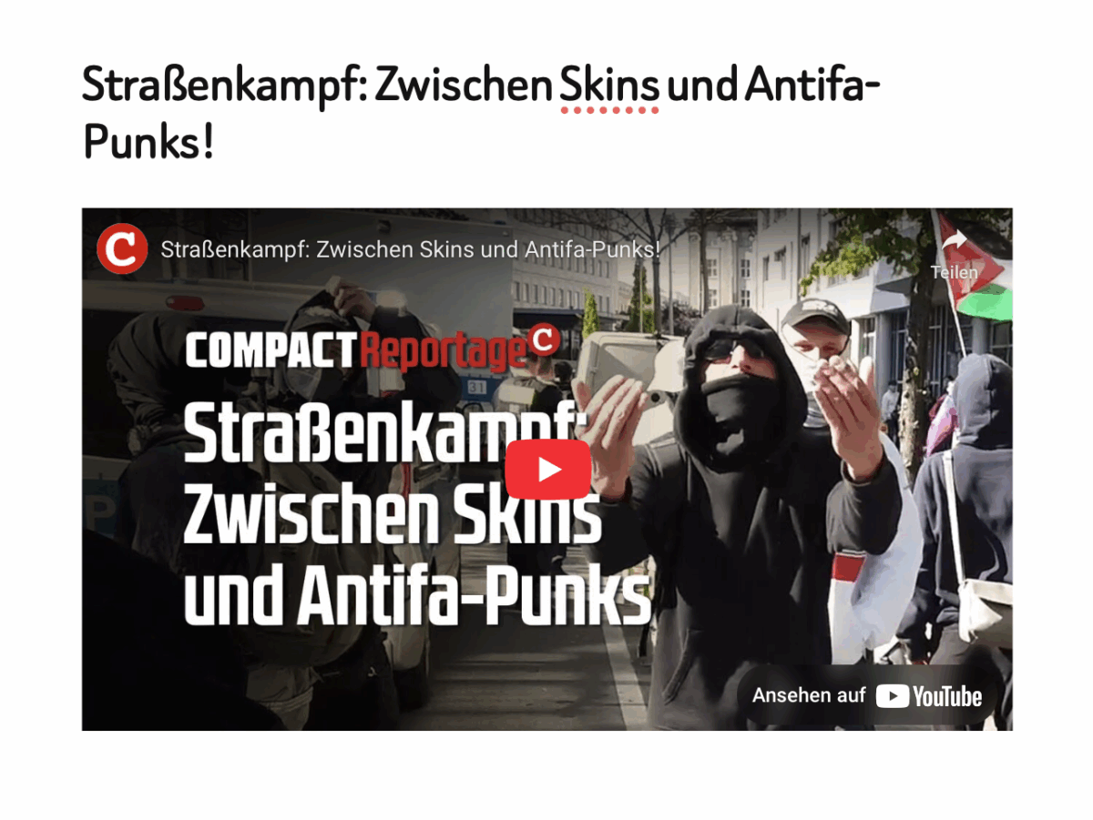 Straßenkampf: Zwischen Skins und Antifa-Punks!