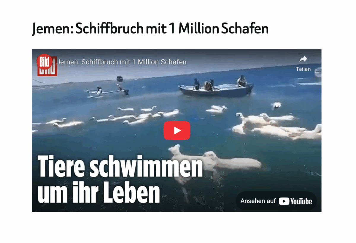Jemen: Schiffbruch mit 1 Million Schafen