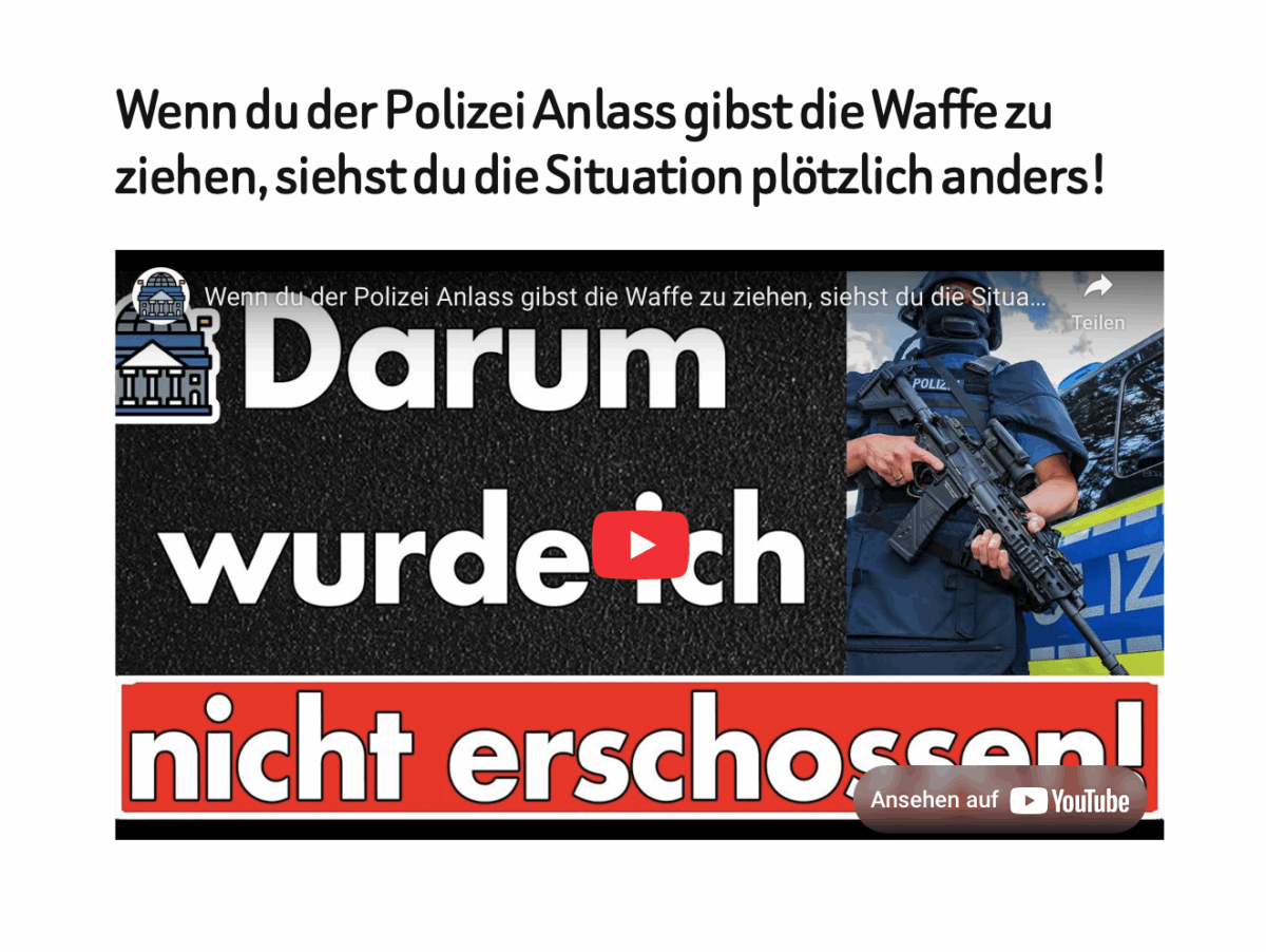 Wenn du der Polizei Anlass gibst die Waffe zu ziehen, siehst du die Situation plötzlich anders!