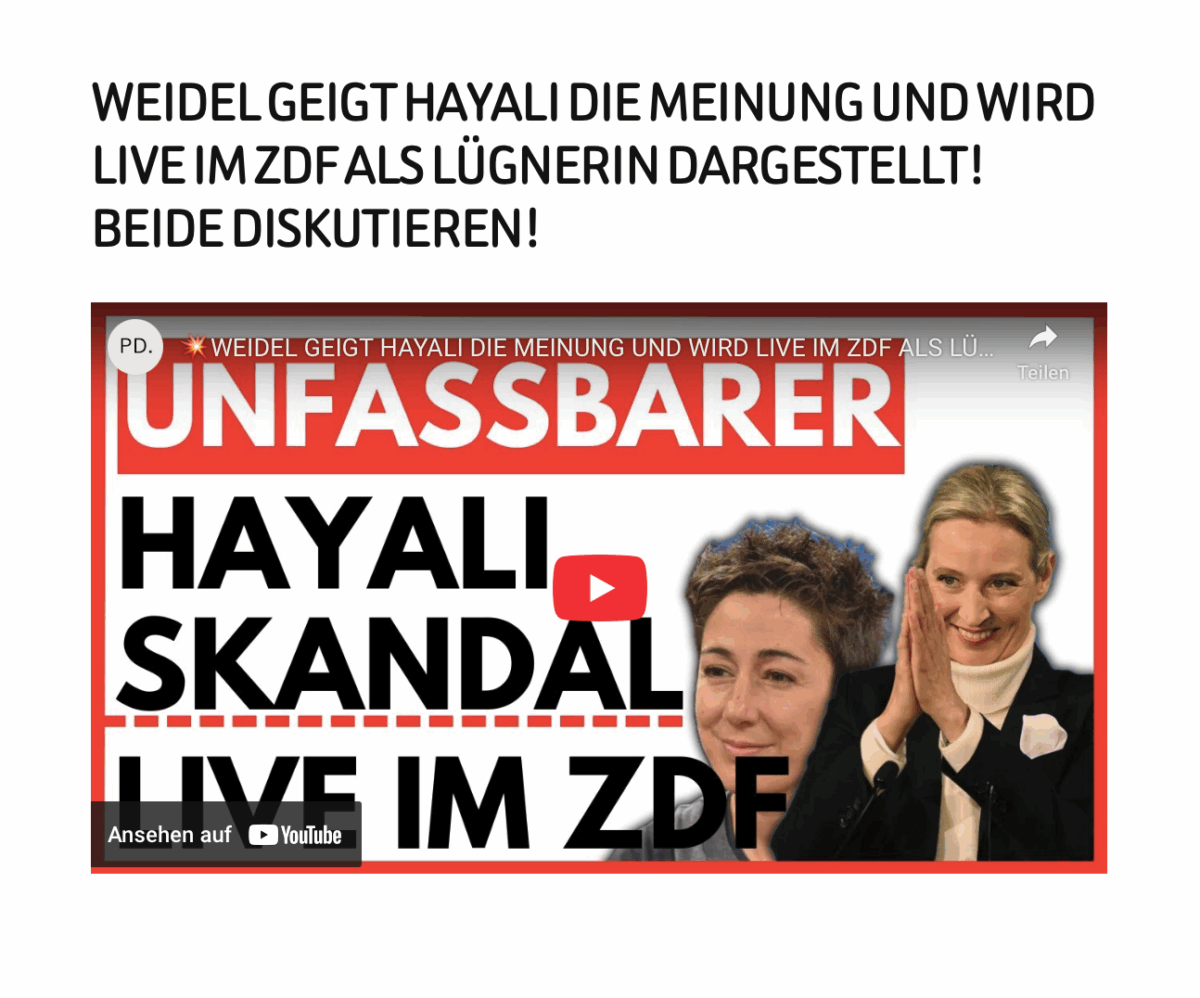 WEIDEL GEIGT HAYALI DIE MEINUNG UND WIRD LIVE IM ZDF ALS LÜGNERIN DARGESTELLT! BEIDE DISKUTIEREN! 