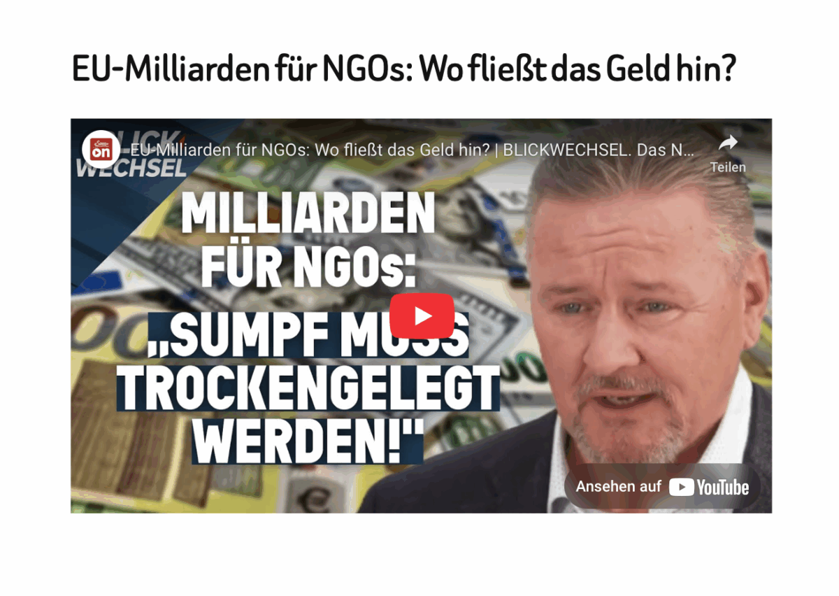 EU-Milliarden für NGOs: Wo fließt das Geld hin? 