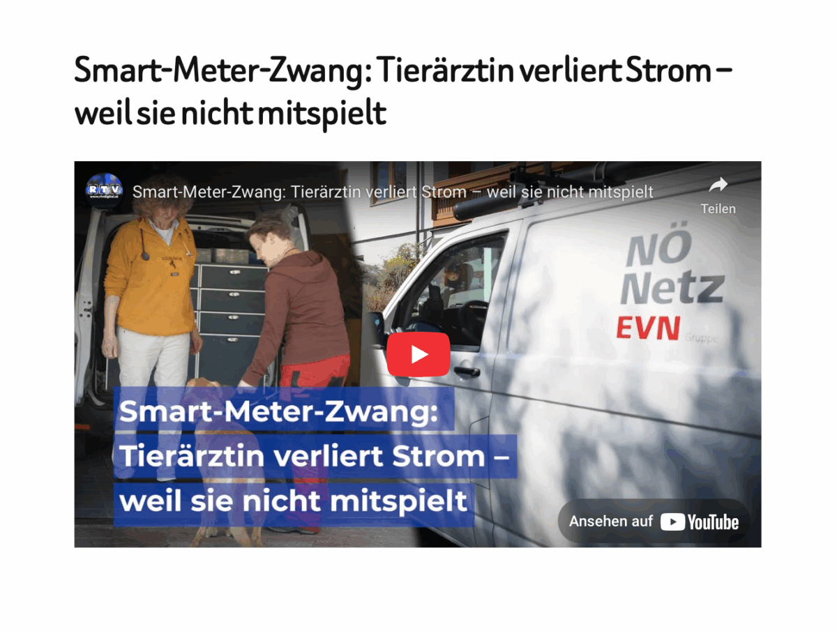 Smart-Meter-Zwang: Tierärztin verliert Strom – weil sie nicht mitspielt