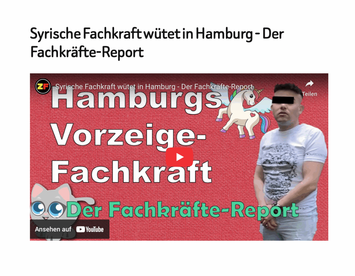 Syrische Fachkraft wütet in Hamburg – Der Fachkräfte-Report