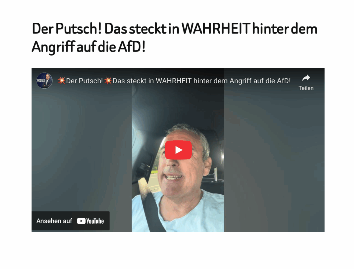 Der Putsch! Das steckt in WAHRHEIT hinter dem Angriff auf die AfD!