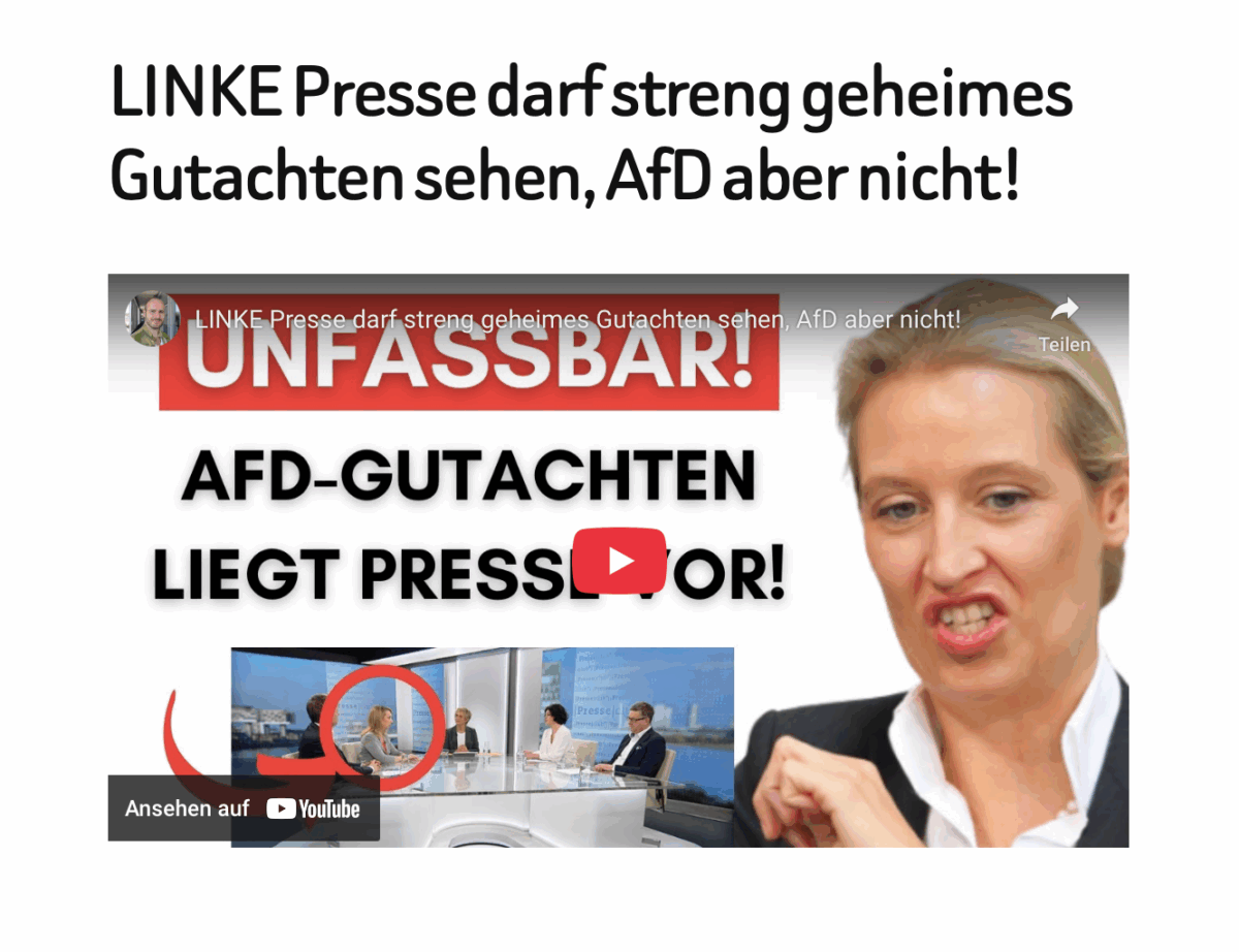 LINKE Presse darf streng geheimes Gutachten sehen, AfD aber nicht!