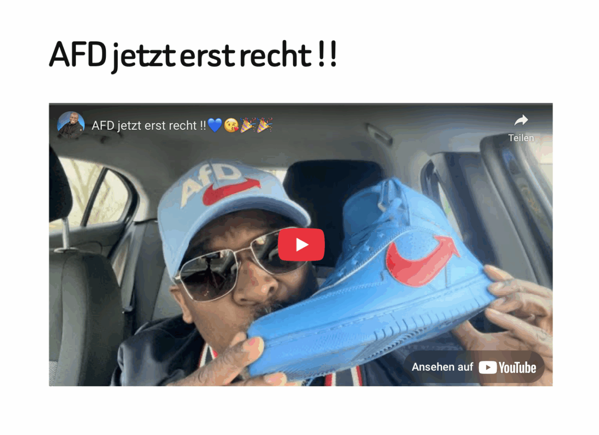 AFD jetzt erst recht !!