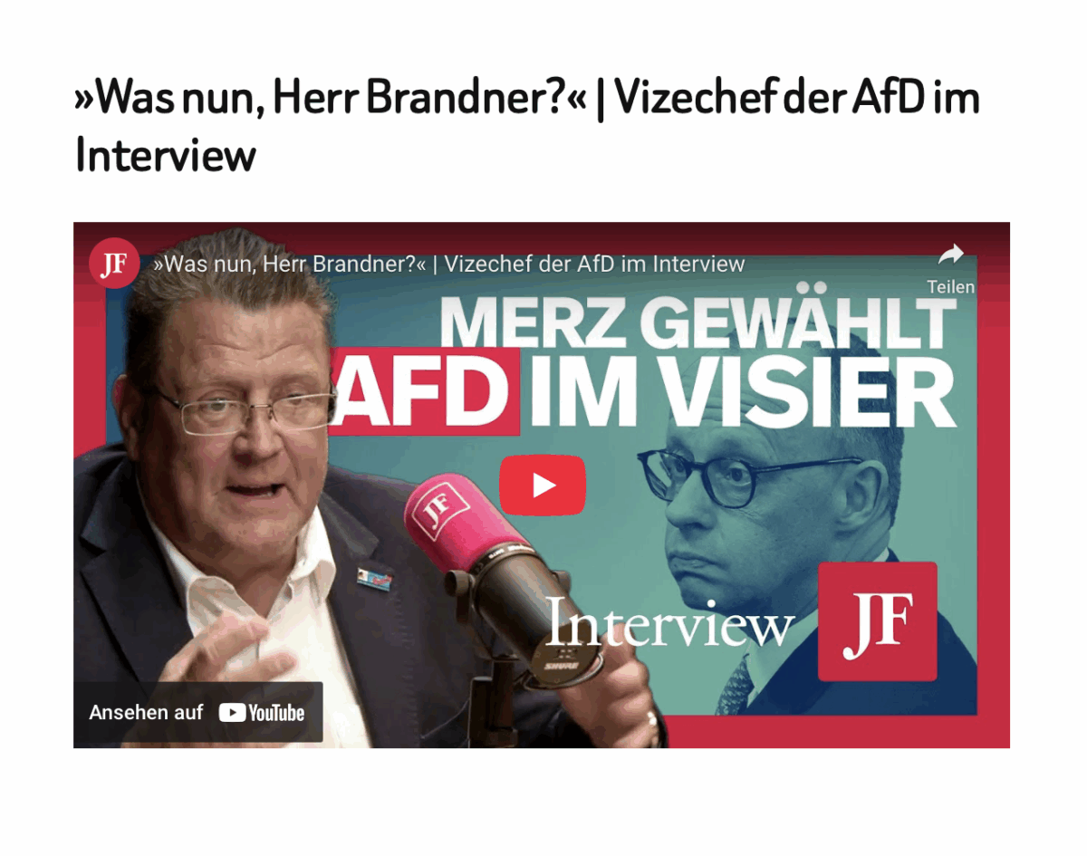»Was nun, Herr Brandner?« | Vizechef der AfD im Interview