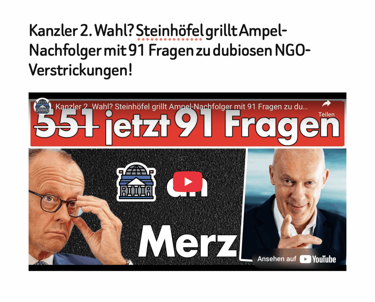 Kanzler 2. Wahl? Steinhöfel grillt Ampel-Nachfolger mit 91 Fragen zu dubiosen NGO-Verstrickungen!