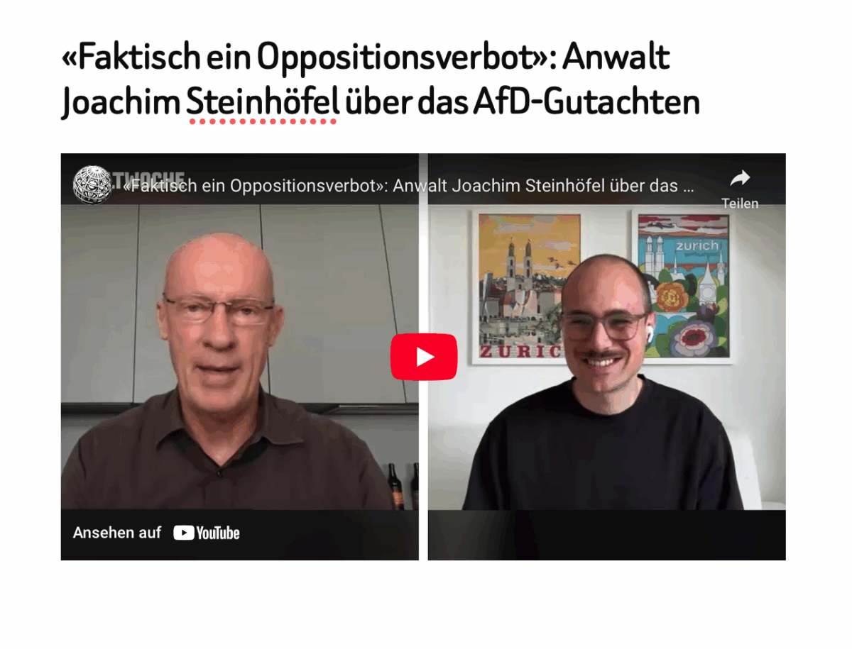 «Faktisch ein Oppositionsverbot»: Anwalt Joachim Steinhöfel über das AfD-Gutachten