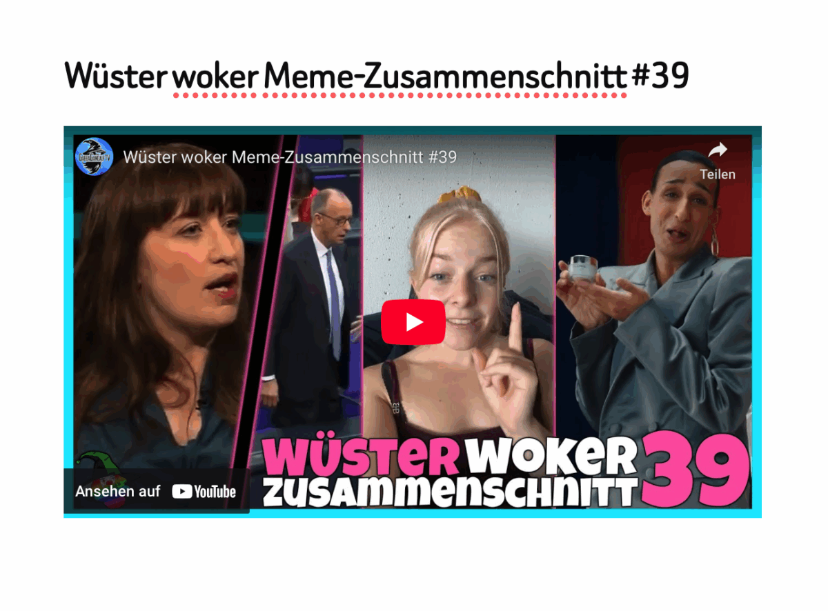 Wüster woker Meme-Zusammenschnitt #39