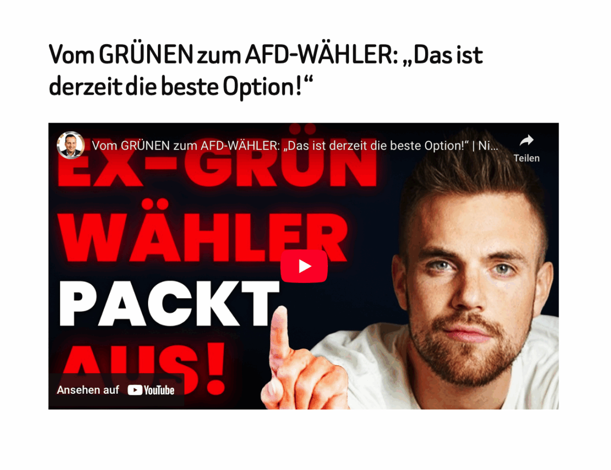 Vom GRÜNEN zum AFD-WÄHLER: „Das ist derzeit die beste Option!“