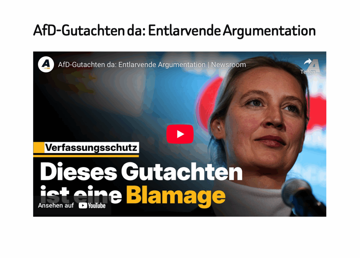 AfD-Gutachten da: Entlarvende Argumentation 
