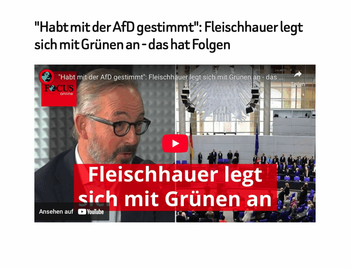 „Habt mit der AfD gestimmt“: Fleischhauer legt sich mit Grünen an – das hat Folgen