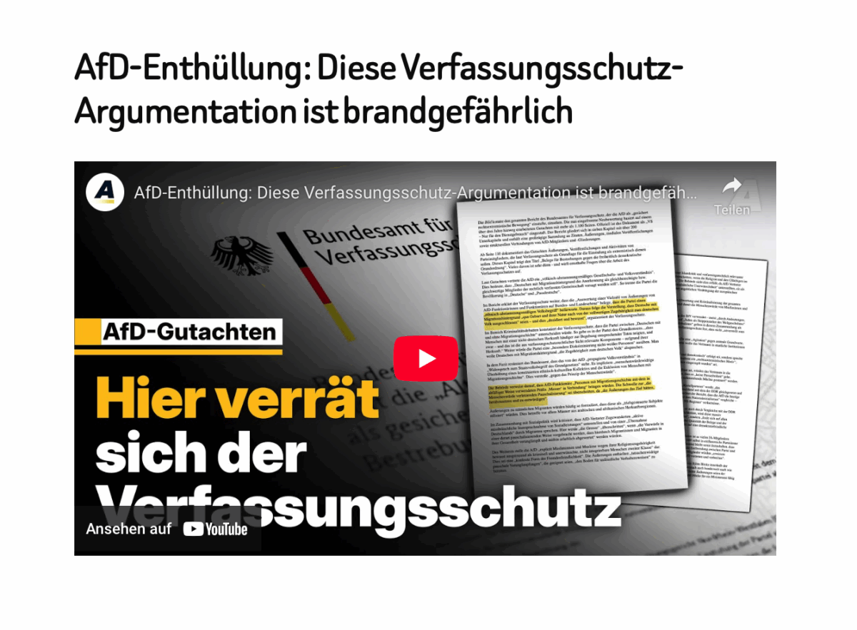AfD-Enthüllung: Diese Verfassungsschutz-Argumentation ist brandgefährlich 