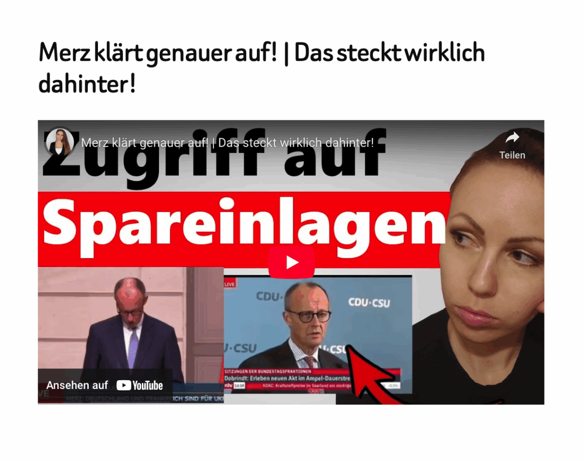 Merz klärt genauer auf! | Das steckt wirklich dahinter!