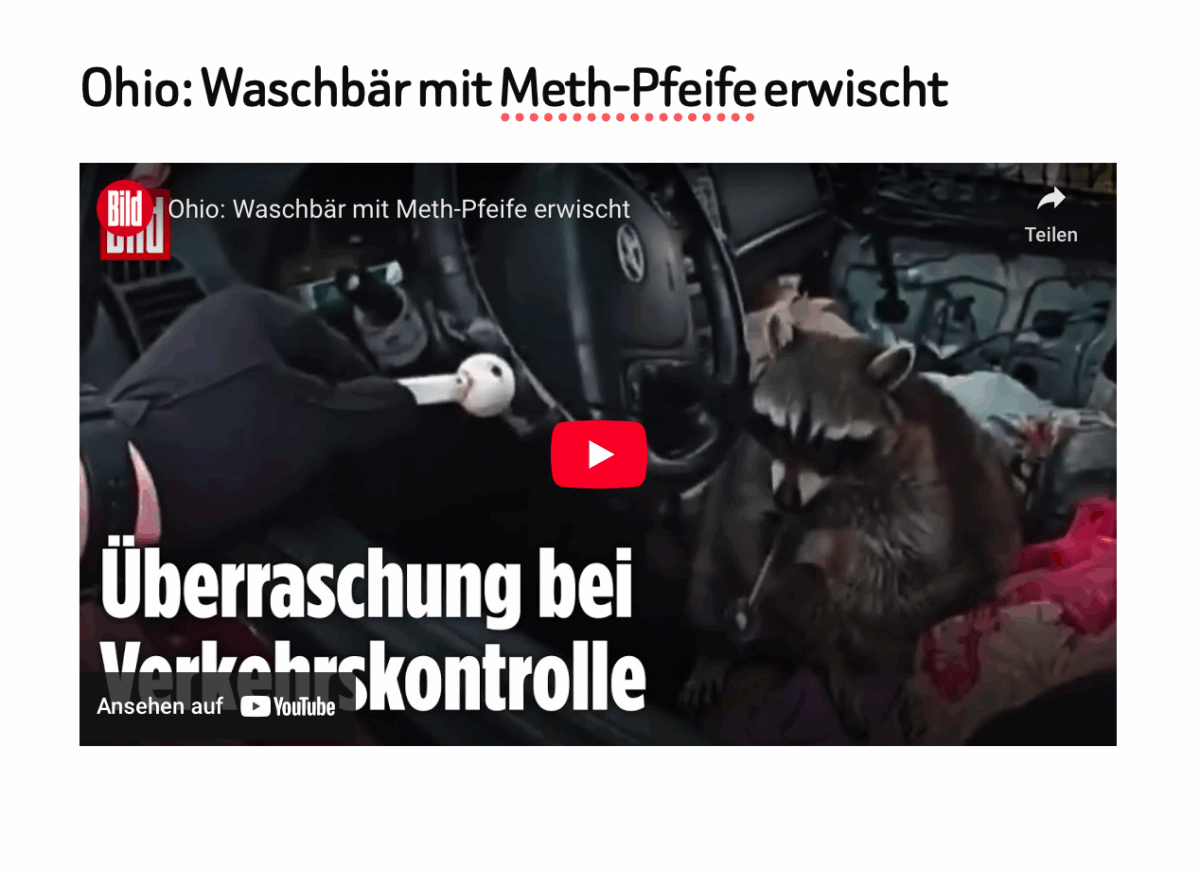 Ohio: Waschbär mit Meth-Pfeife erwischt
