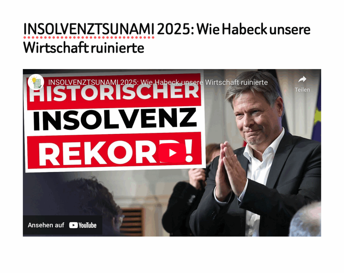 INSOLVENZTSUNAMI 2025: Wie Habeck unsere Wirtschaft ruinierte