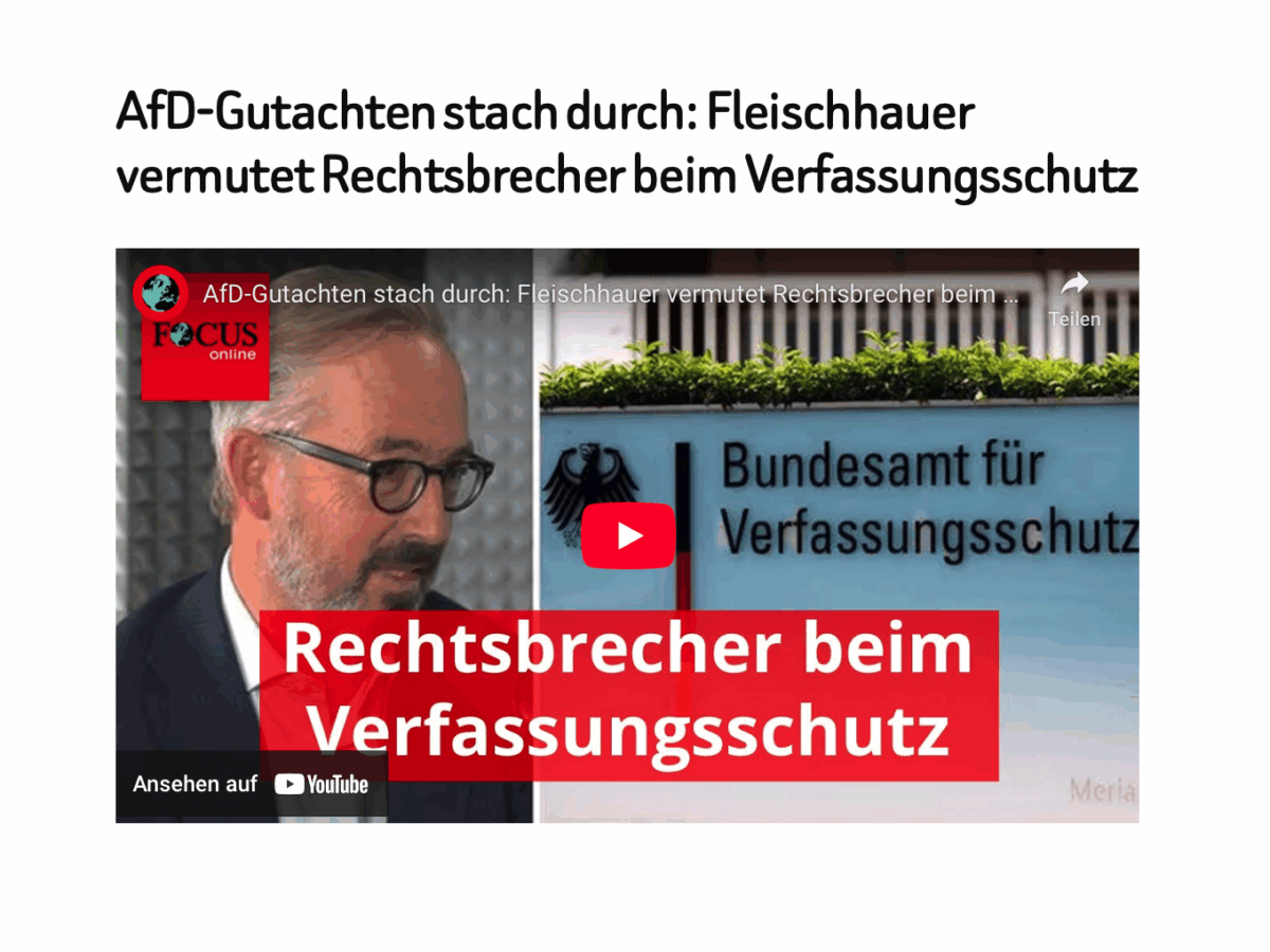 AfD-Gutachten stach durch: Fleischhauer vermutet Rechtsbrecher beim Verfassungsschutz