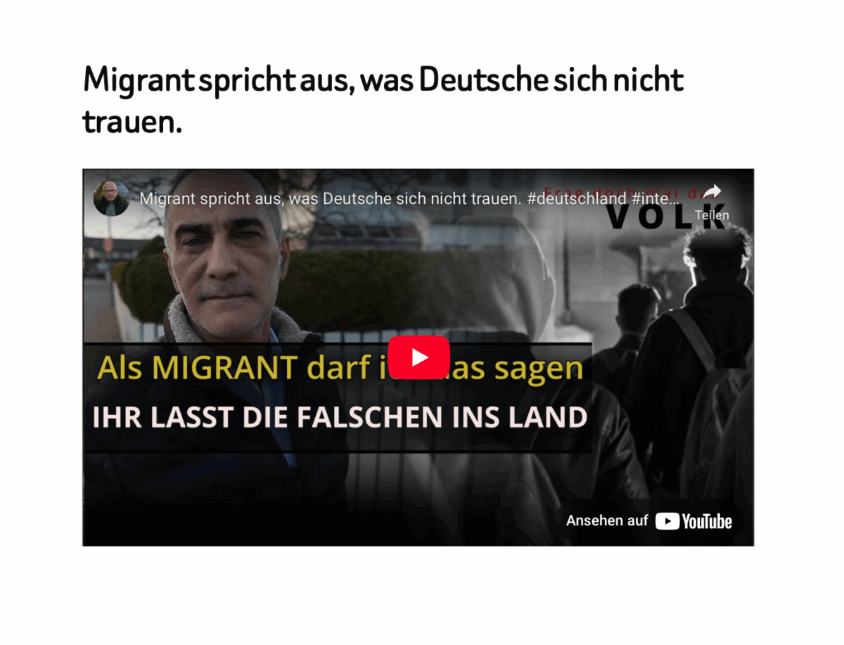 Migrant spricht aus, was Deutsche sich nicht trauen. 