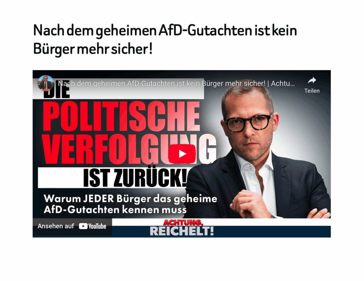 Nach dem geheimen AfD-Gutachten ist kein Bürger mehr sicher! 