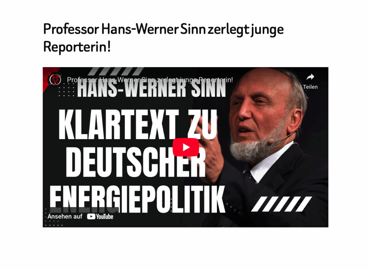 Professor Hans-Werner Sinn zerlegt junge Reporterin!