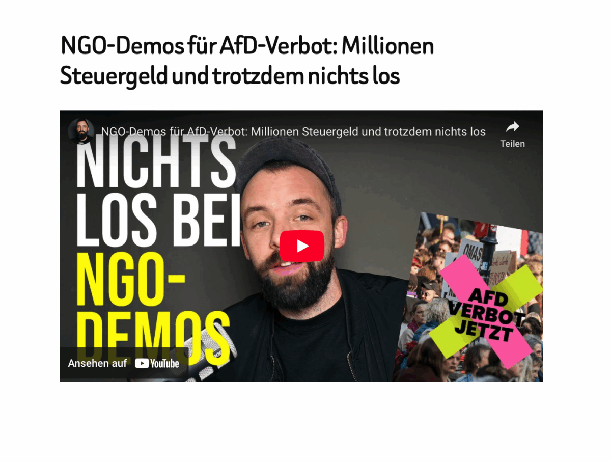 NGO-Demos für AfD-Verbot: Millionen Steuergeld und trotzdem nichts los