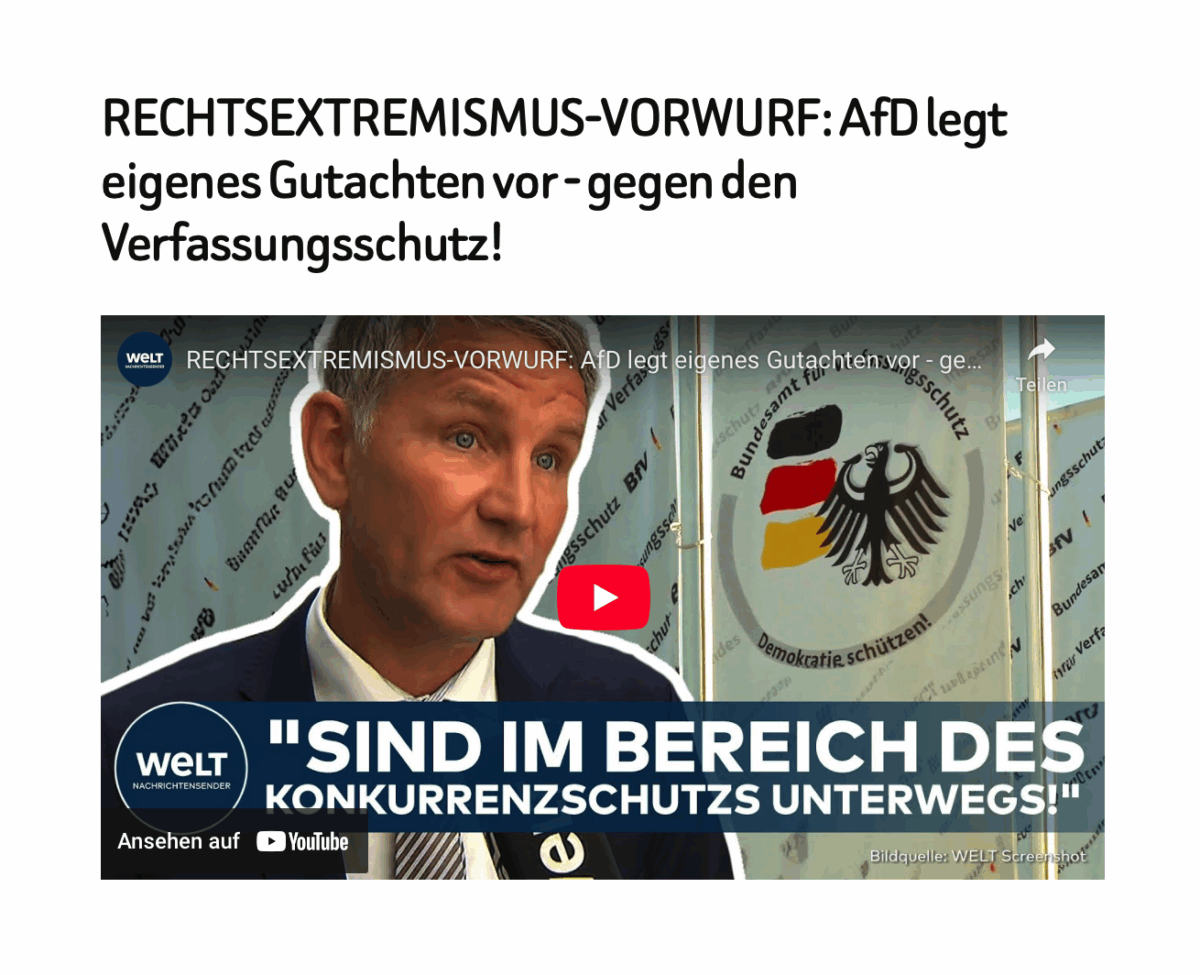 RECHTSEXTREMISMUS-VORWURF: AfD legt eigenes Gutachten vor – gegen den Verfassungsschutz!