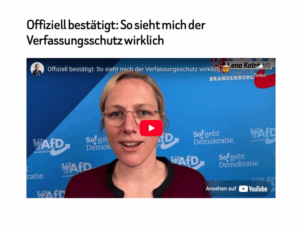 Offiziell bestätigt: So sieht mich der Verfassungsschutz wirklich 