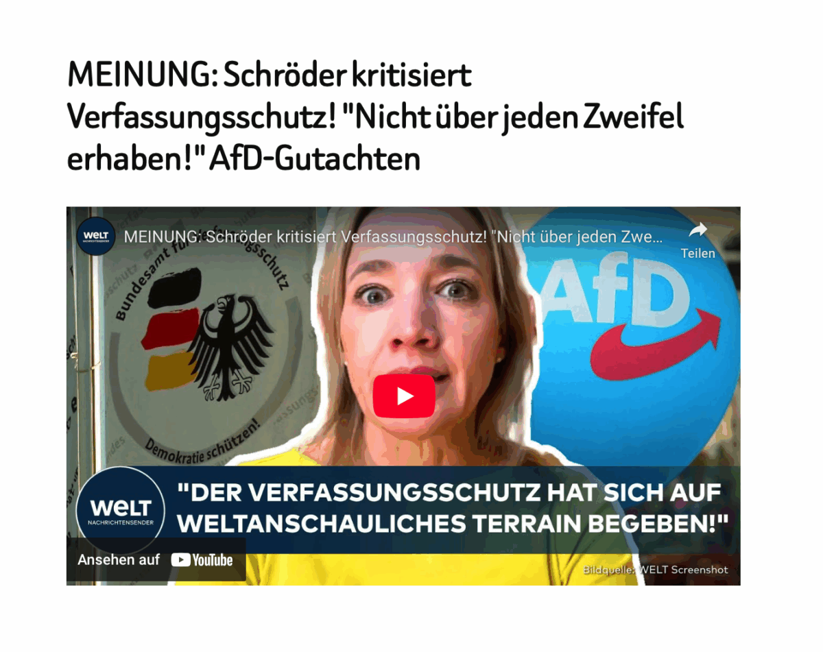 MEINUNG: Schröder kritisiert Verfassungsschutz! „Nicht über jeden Zweifel erhaben!“ AfD-Gutachten