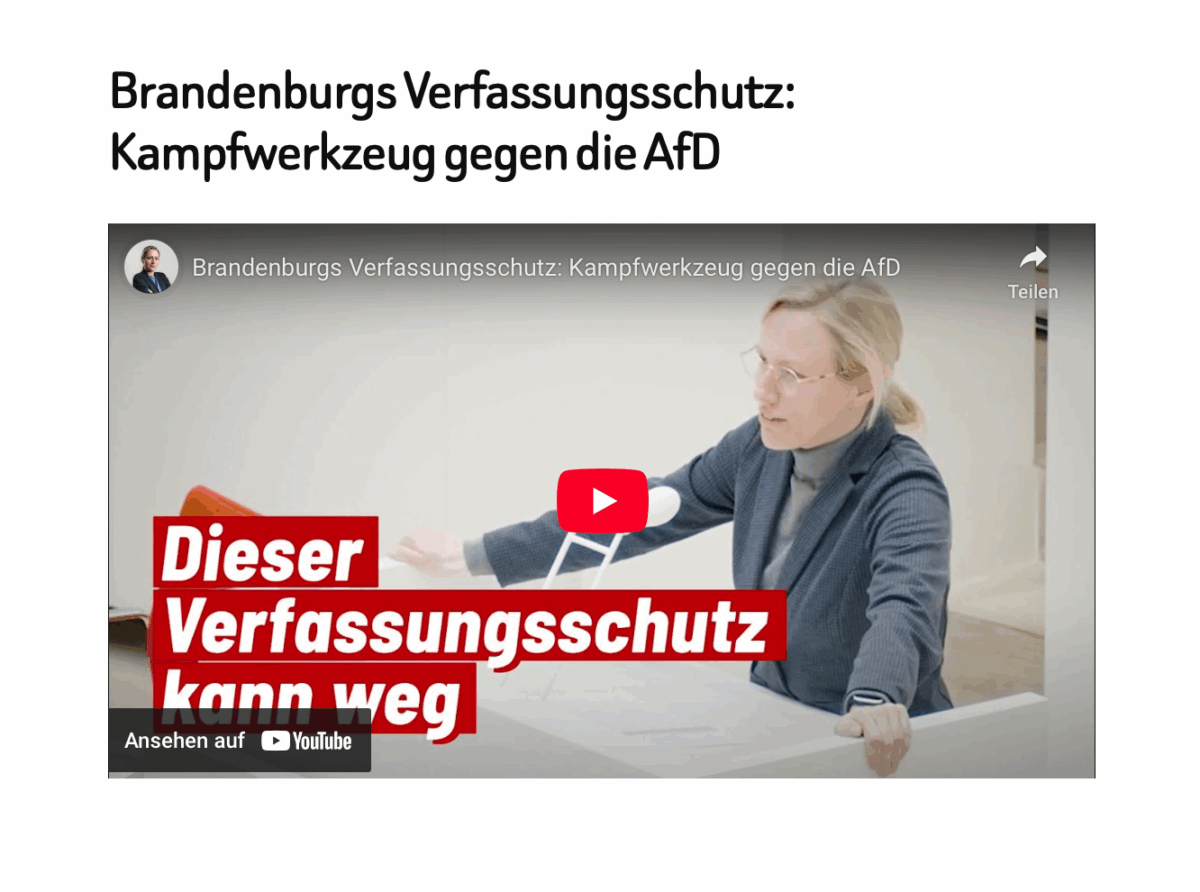 Brandenburgs Verfassungsschutz: Kampfwerkzeug gegen die AfD