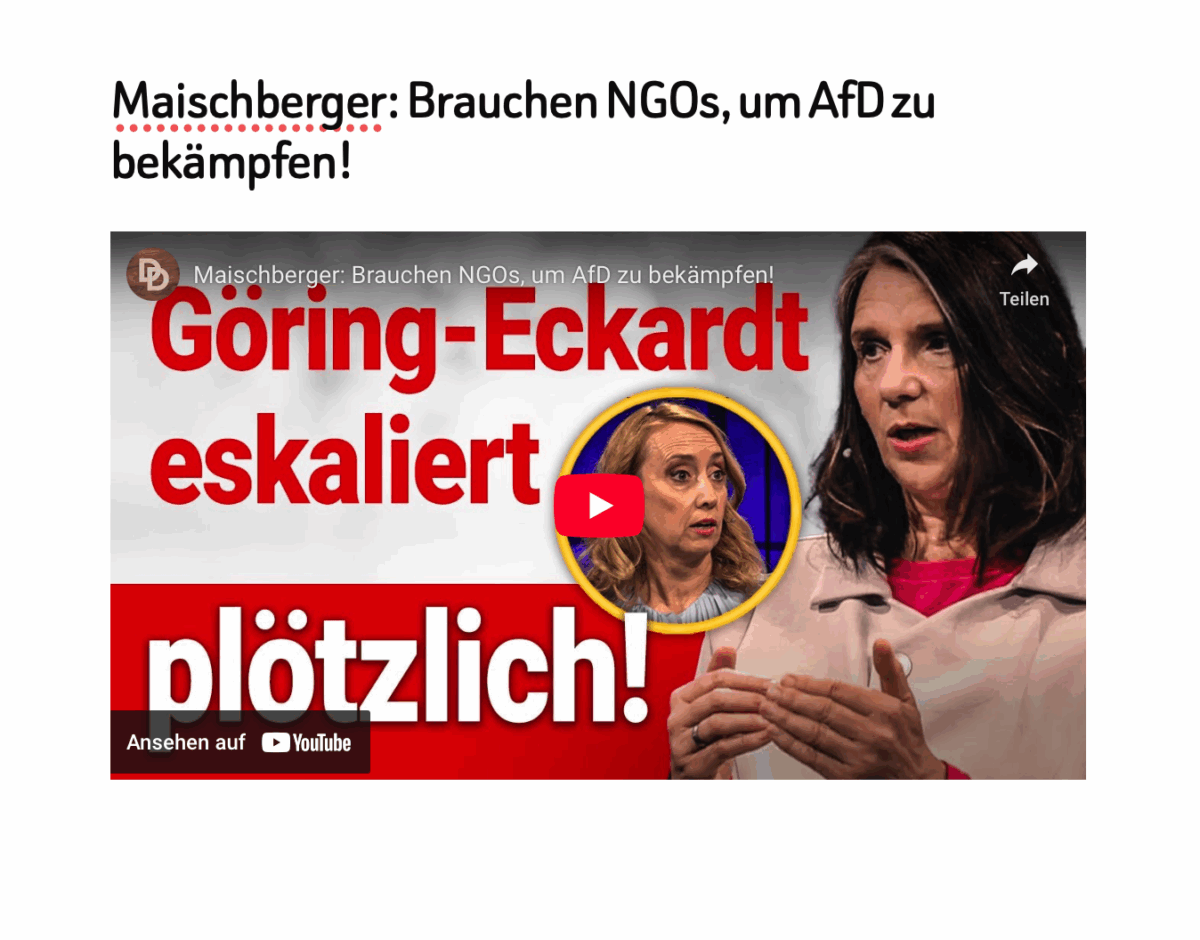 Maischberger: Brauchen NGOs, um AfD zu bekämpfen!