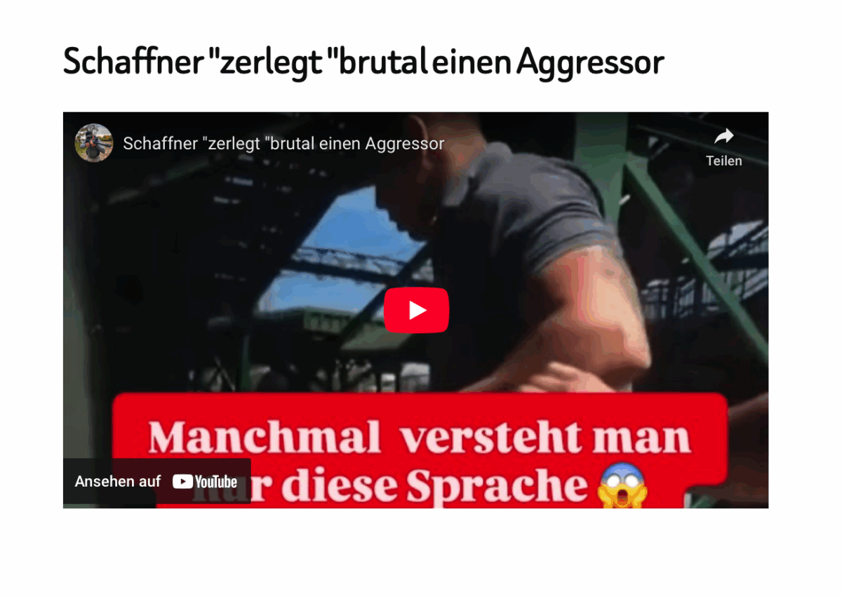 Schaffner „zerlegt „brutal einen Aggressor