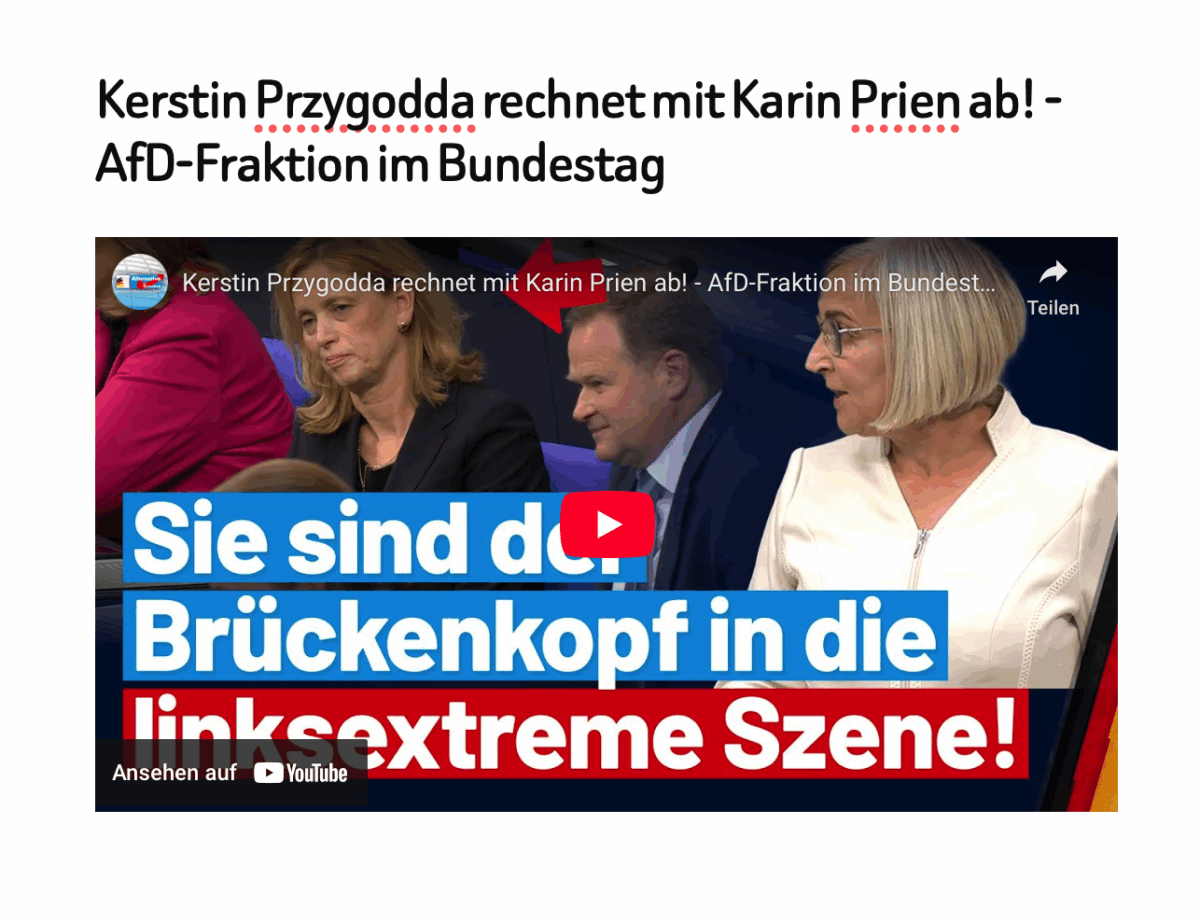 Kerstin Przygodda rechnet mit Karin Prien ab! – AfD-Fraktion im Bundestag