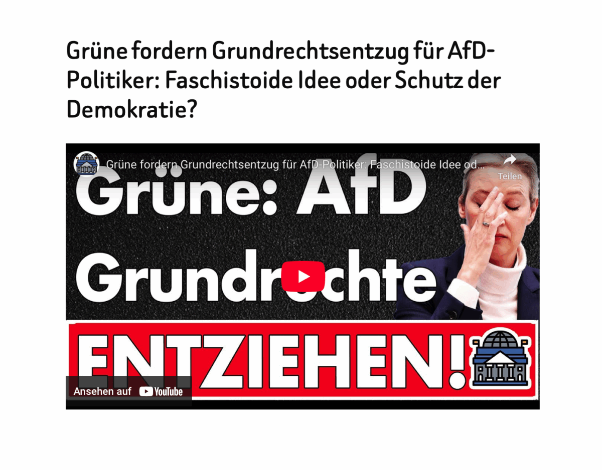 Grüne fordern Grundrechtsentzug für AfD-Politiker: Faschistoide Idee oder Schutz der Demokratie?