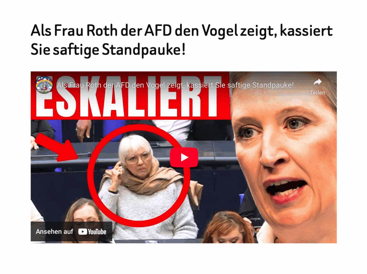 Als Frau Roth der AFD den Vogel zeigt, kassiert Sie saftige Standpauke!