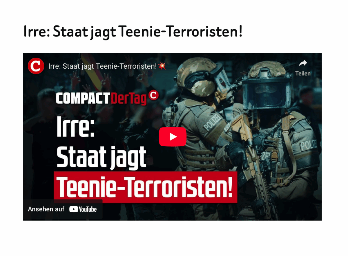 Irre: Staat jagt Teenie-Terroristen!