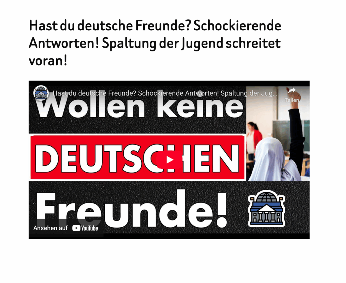 Hast du deutsche Freunde? Schockierende Antworten! Spaltung der Jugend schreitet voran!