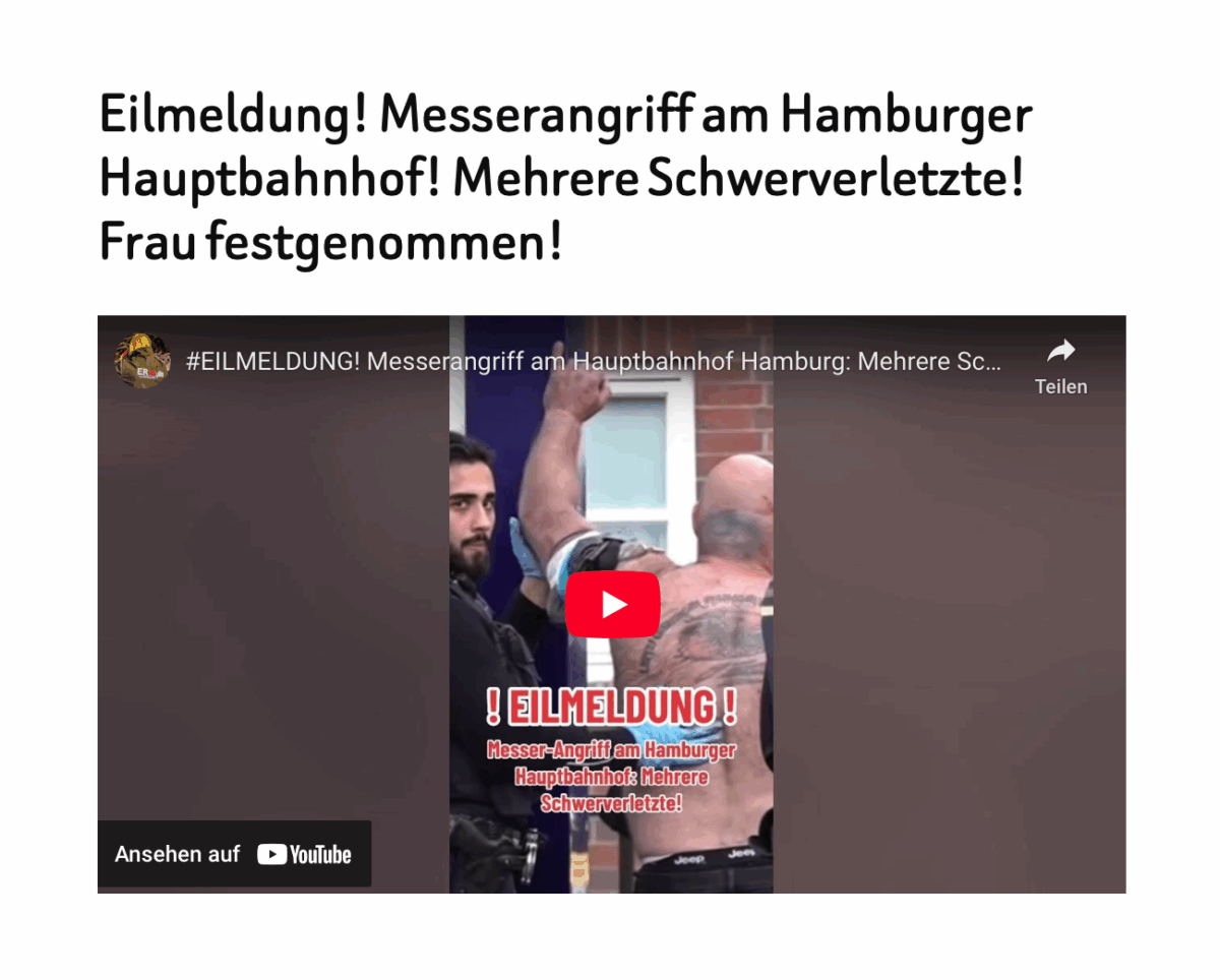 Eilmeldung! Messerangriff am Hamburger Hauptbahnhof! Mehrere Schwerverletzte! Frau festgenommen!