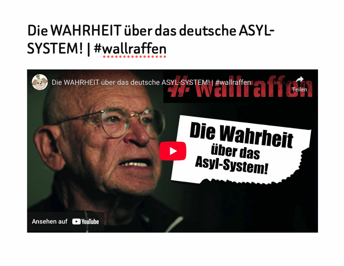 Die WAHRHEIT über das deutsche ASYL-SYSTEM! | #wallraffen