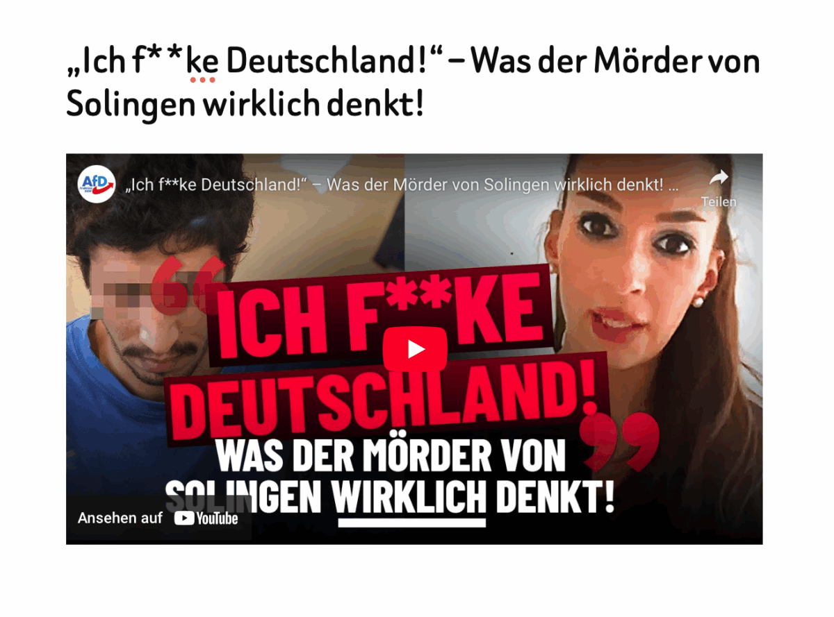 „Ich f**ke Deutschland!“ – Was der Mörder von Solingen wirklich denkt!