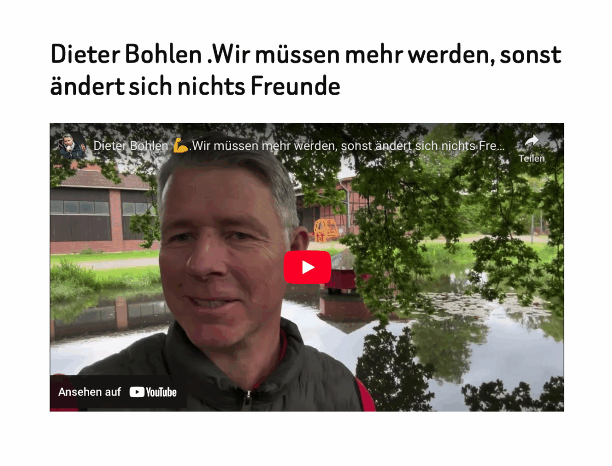 Dieter Bohlen .Wir müssen mehr werden, sonst ändert sich nichts Freunde