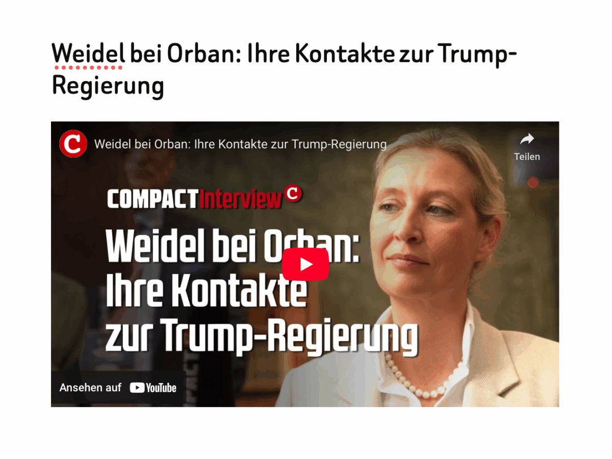 Weidel bei Orban: Ihre Kontakte zur Trump-Regierung