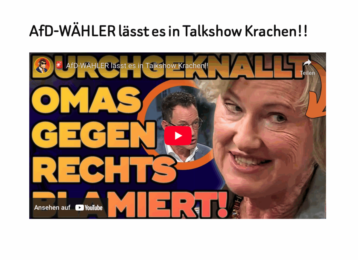 AfD-WÄHLER lässt es in Talkshow Krachen!!
