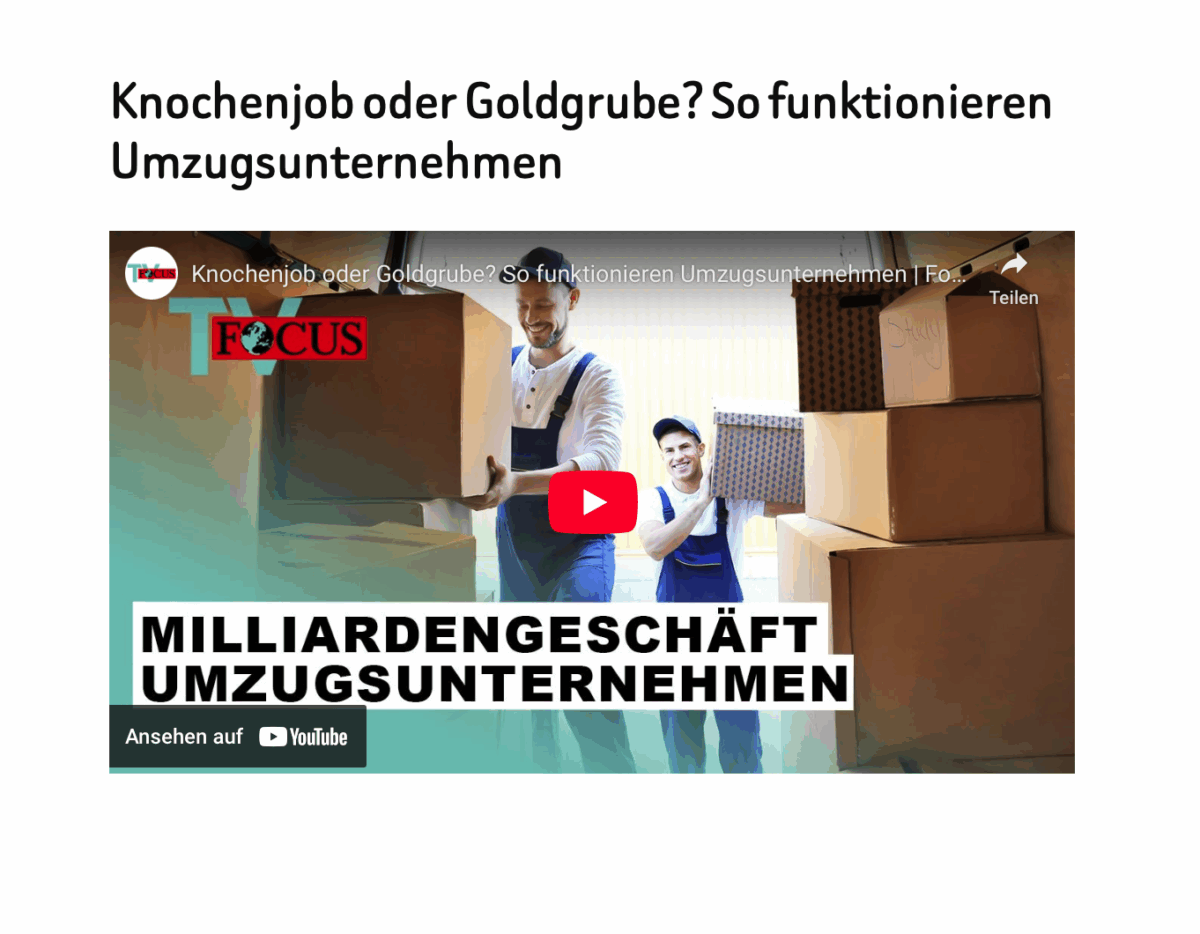 Knochenjob oder Goldgrube? So funktionieren Umzugsunternehmen 