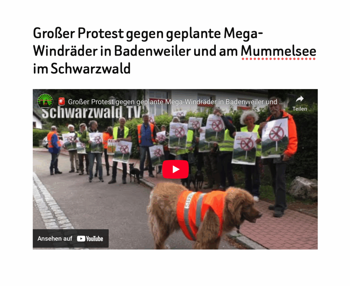 Großer Protest gegen geplante Mega-Windräder in Badenweiler und am Mummelsee im Schwarzwald