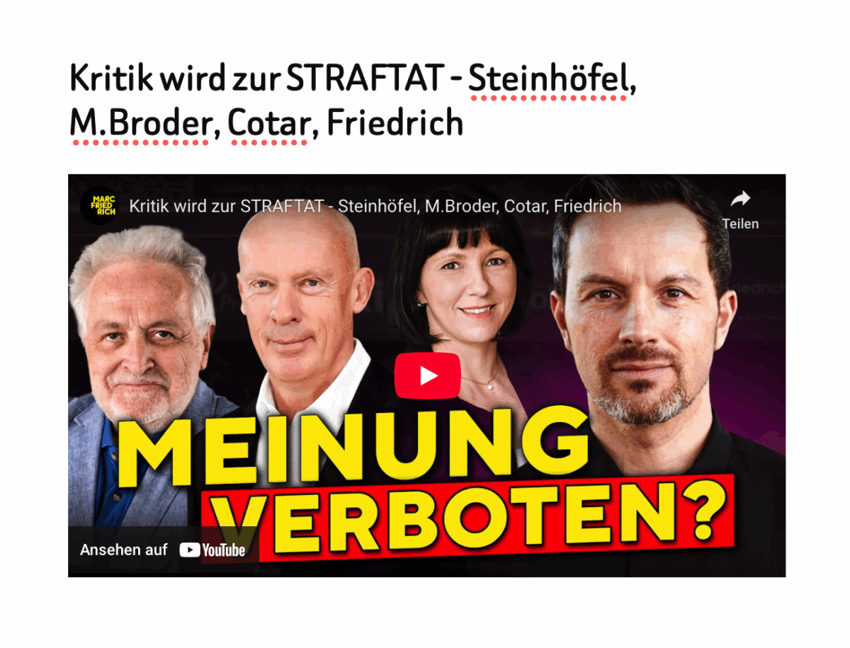 Kritik wird zur STRAFTAT – Steinhöfel, M.Broder, Cotar, Friedrich