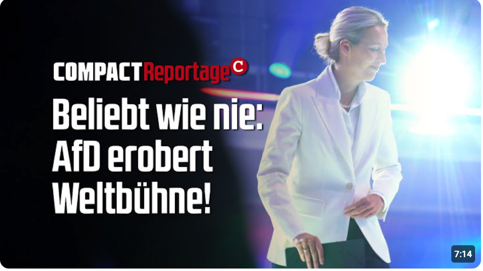 Beliebt wie nie: AfD erobert Weltbühne!